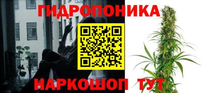 гидра Краснокаменск