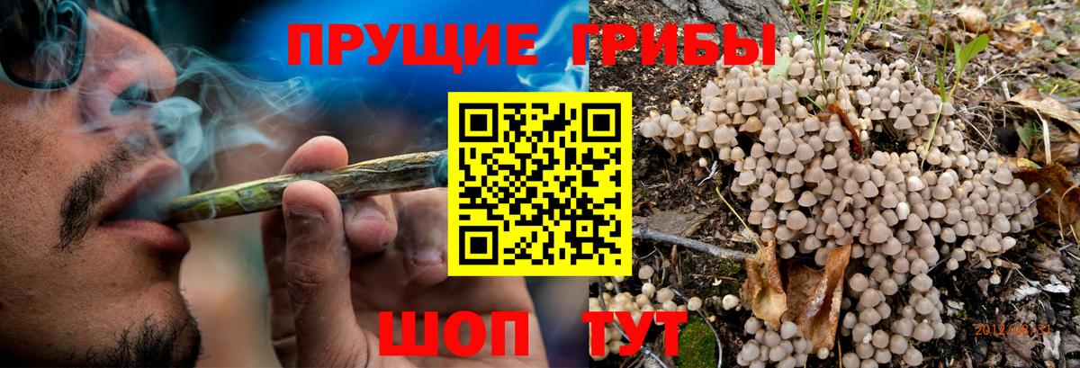 Псилоцибиновые грибы прущие грибы Егорьевск