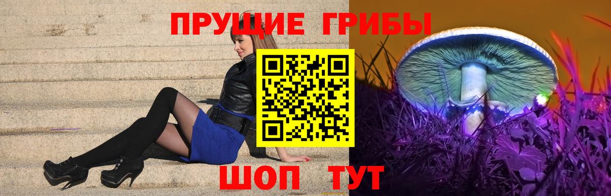 Егорьевск  Галлюциногенные грибы мицелий  Галлюциногенные грибы ЛСД  Вход с VPN 